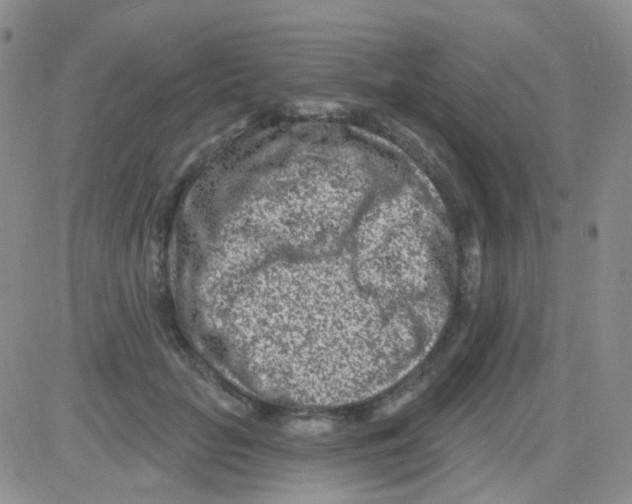 X0000082730653200702232348