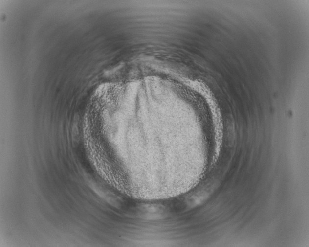 X0000082730654200702232348