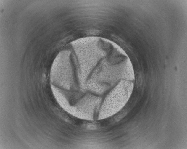 X0000082730655200702232348