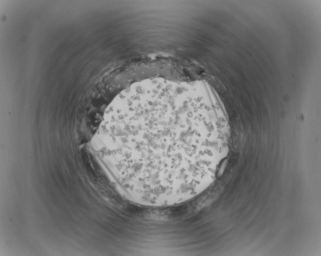 X0000082730656200702232348