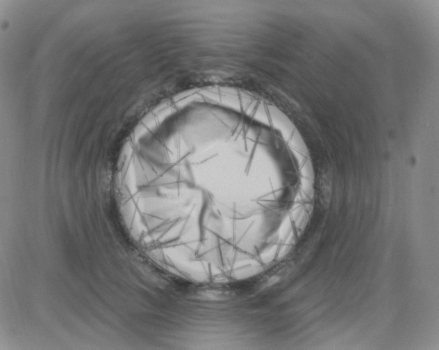 X0000082730657200702232348