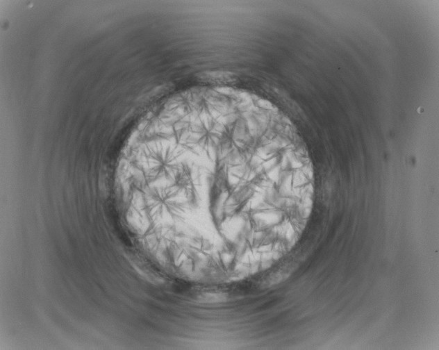 X0000082730658200702232348