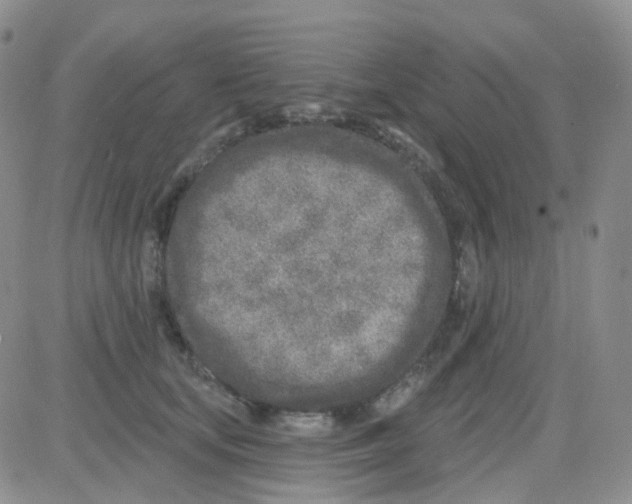 X0000082730659200702232348