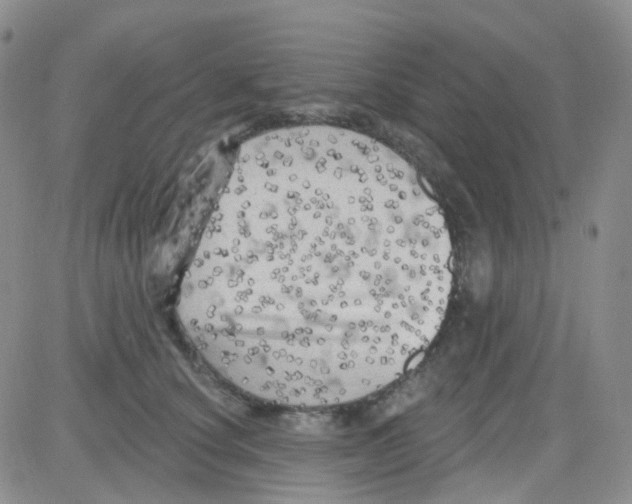 X0000082730660200702232348