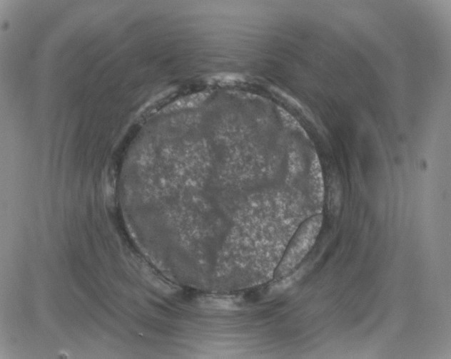 X0000082730661200702232348