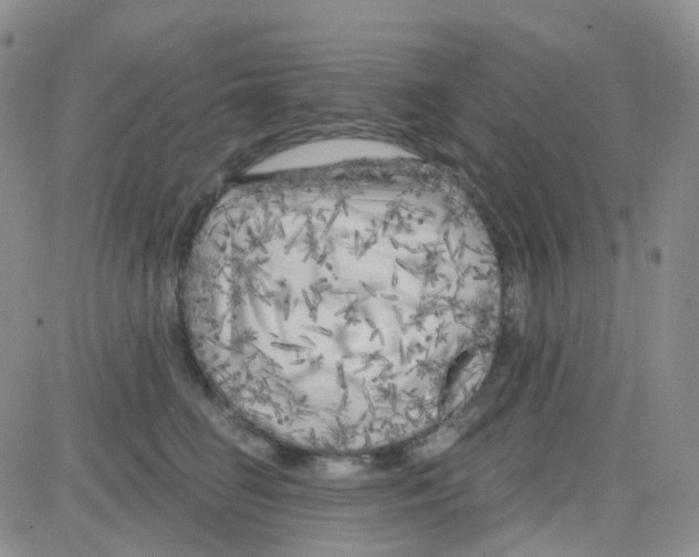 X0000082730662200702232348