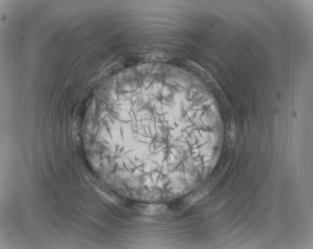 X0000082730663200702232348