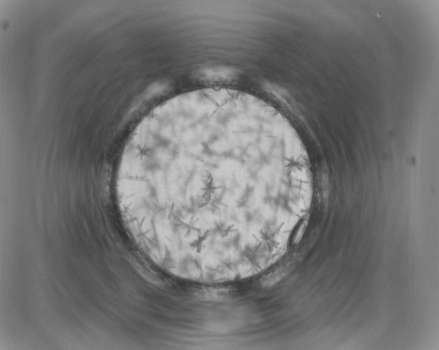 X0000082730664200702232348