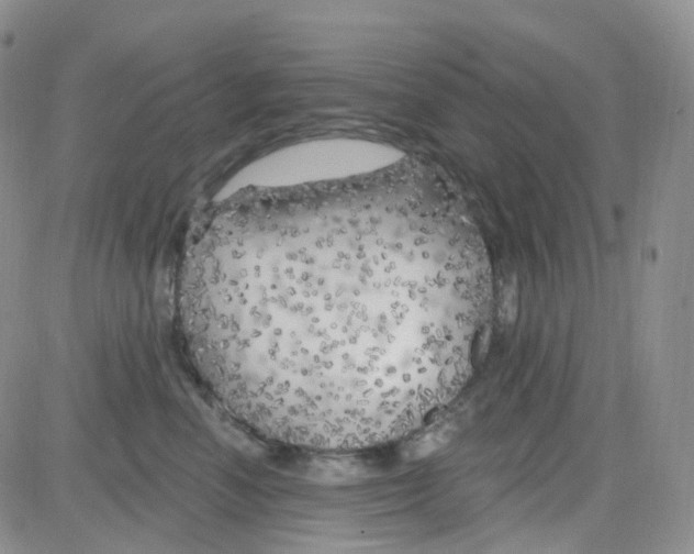 X0000082730666200702232348