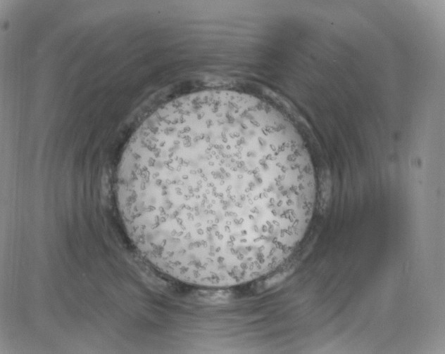 X0000082730667200702232348