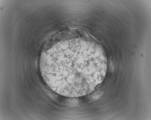 X0000082730668200702232348