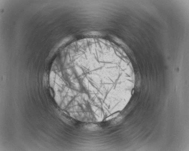 X0000082730669200702232348