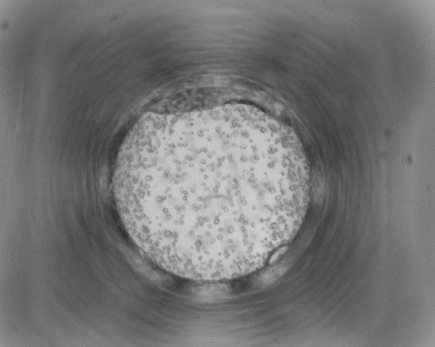 X0000082730670200702232348