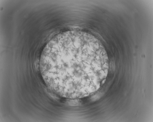 X0000082730671200702232348