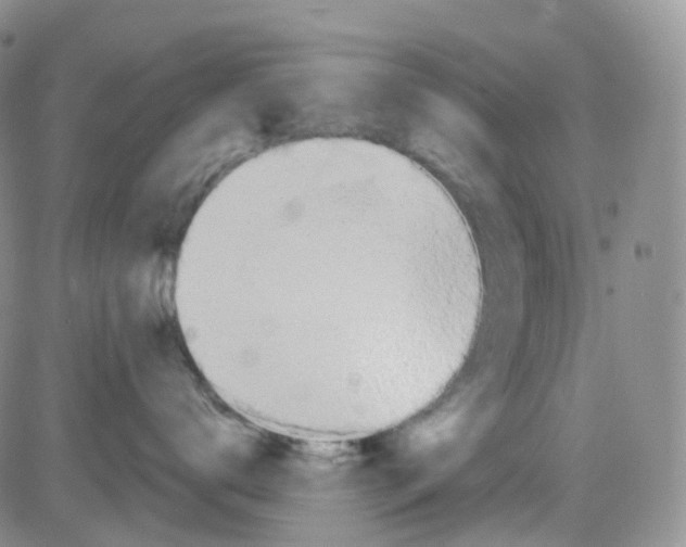 X0000082730672200702232348