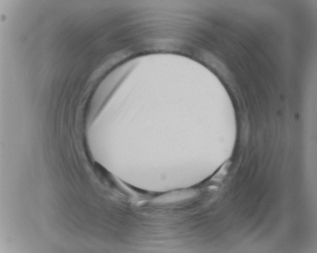 X0000082730673200702232348