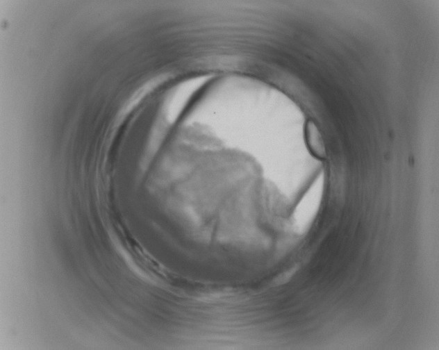 X0000082730674200702232348