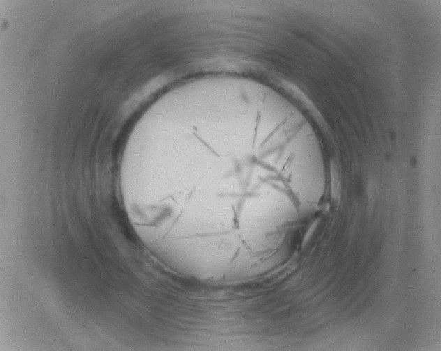 X0000082730675200702232348