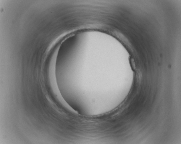 X0000082730676200702232348