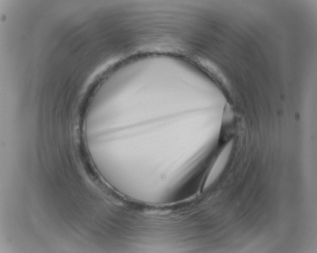 X0000082730680200702232348