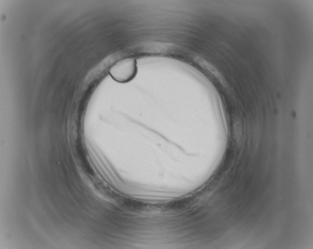 X0000082730682200702232348