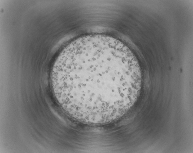 X0000082730683200702232348