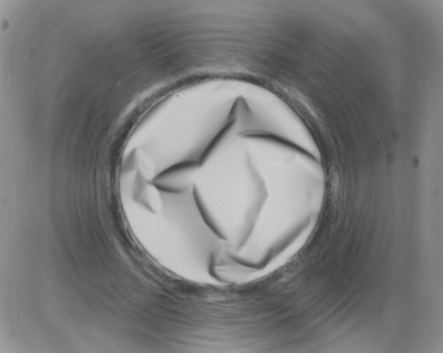 X0000082730684200702232348