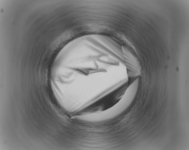 X0000082730685200702232348