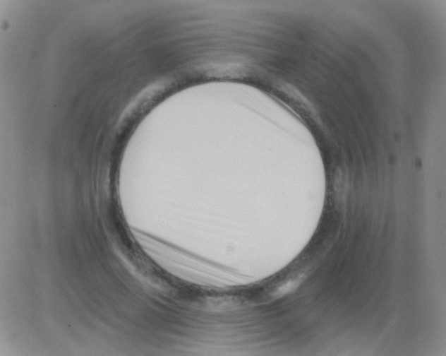 X0000082730686200702232347