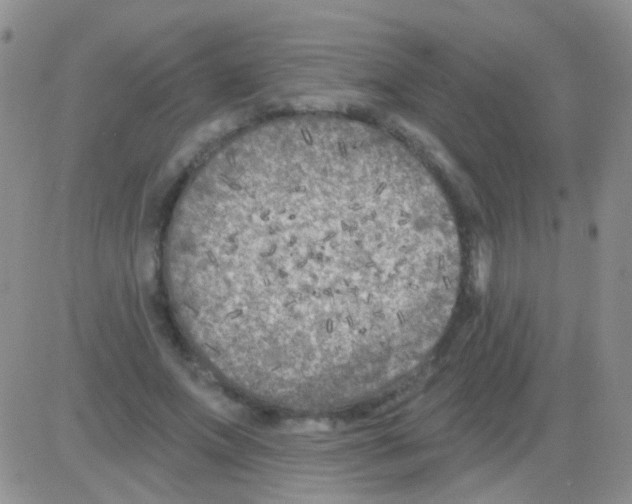 X0000082730687200702232347