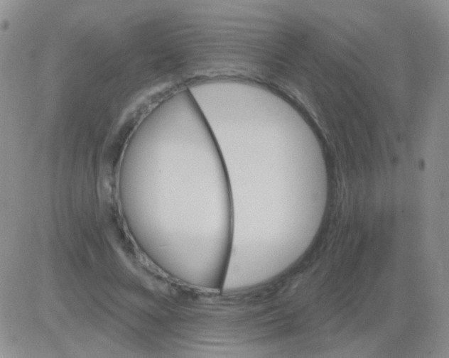 X0000082730688200702232347