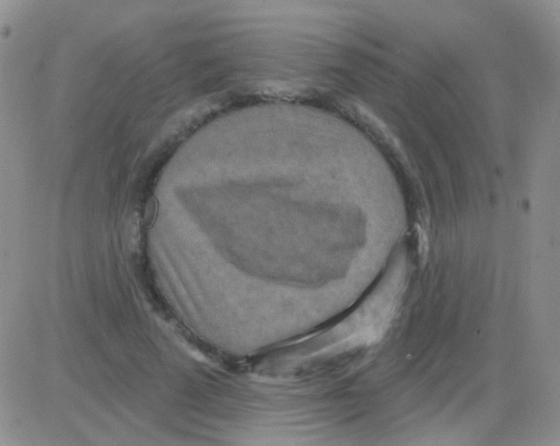 X0000082730689200702232347