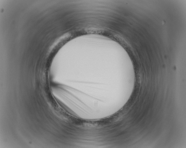 X0000082730690200702232347