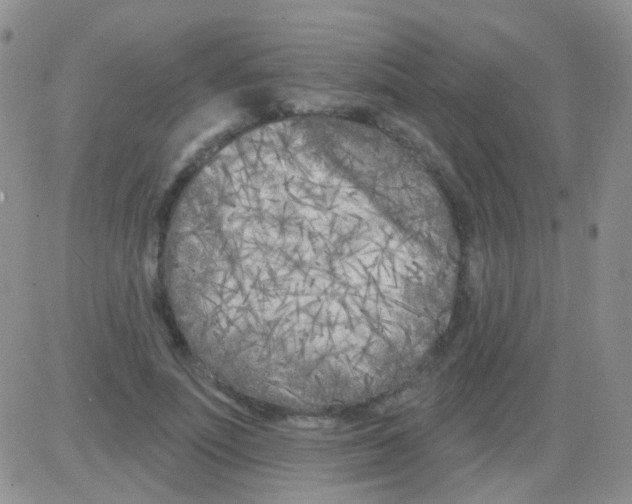 X0000082730691200702232347