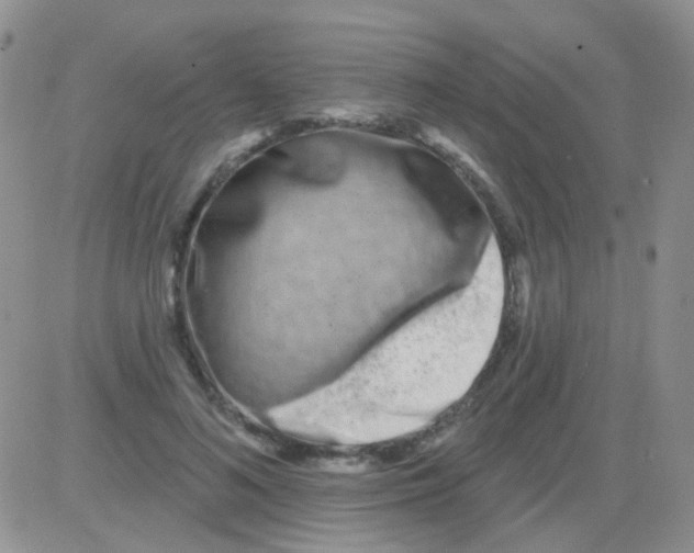 X0000082730692200702232347