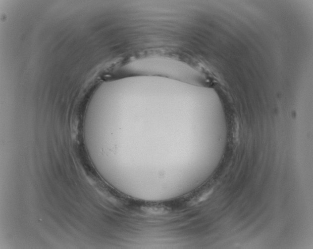 X0000082730693200702232347