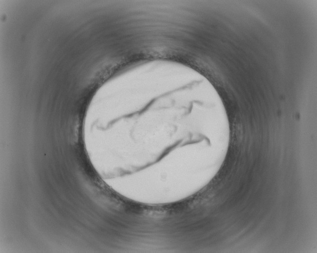 X0000082730694200702232347