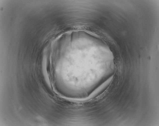 X0000082730696200702232347