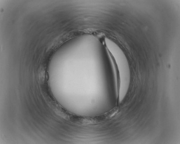 X0000082730697200702232347