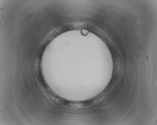 X0000082730698200702232347