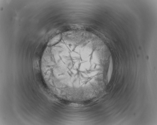 X0000082730699200702232347