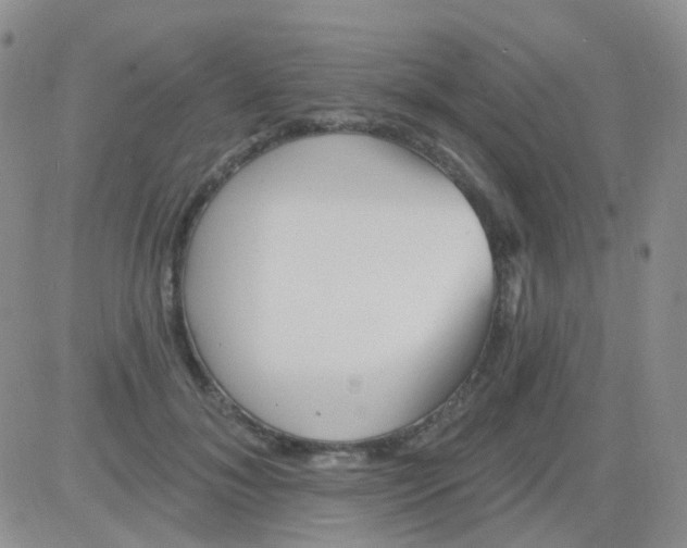 X0000082730700200702232347