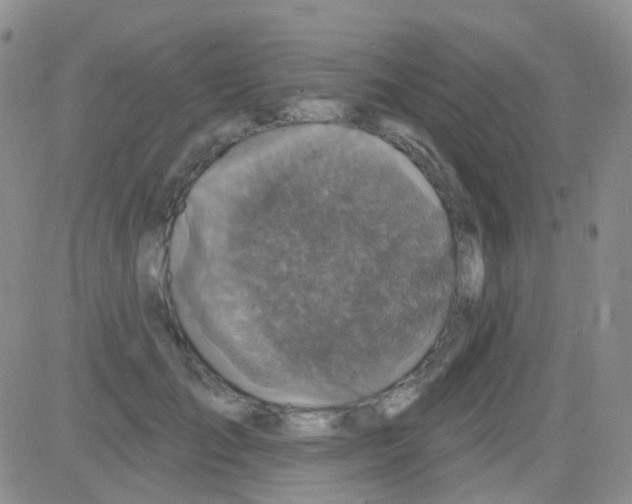 X0000082730701200702232347