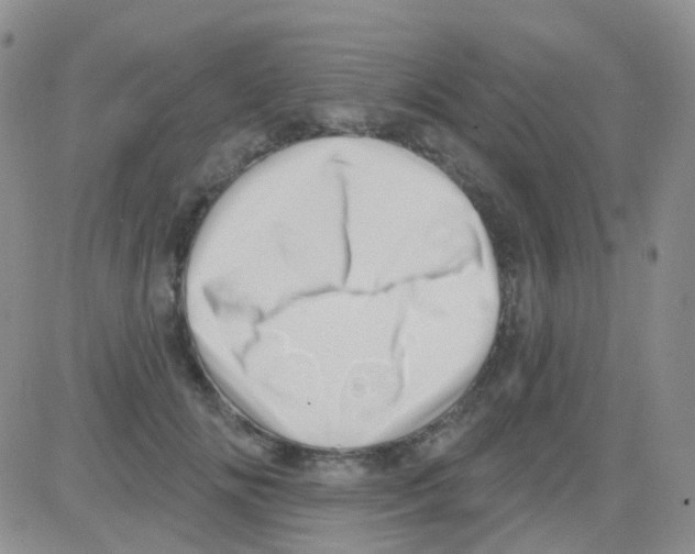 X0000082730702200702232347