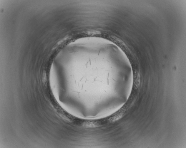 X0000082730704200702232347