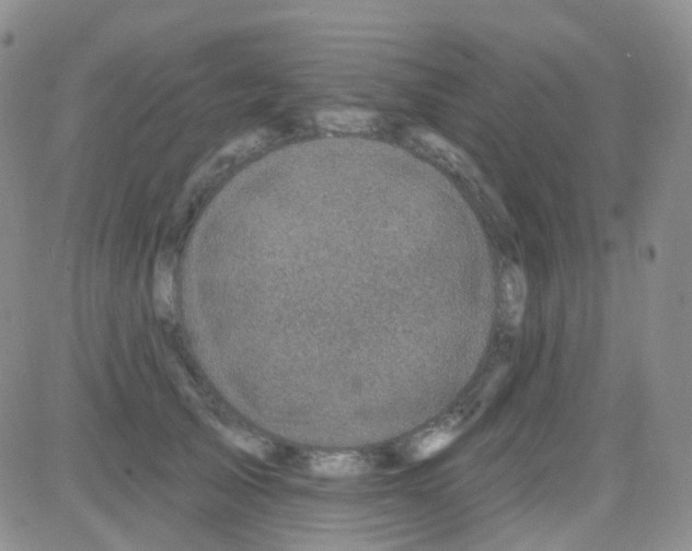 X0000082730705200702232347