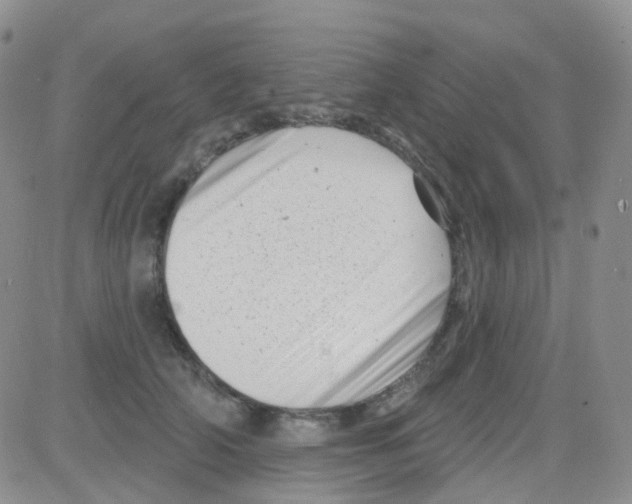 X0000082730706200702232347