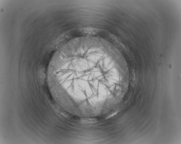 X0000082730707200702232347