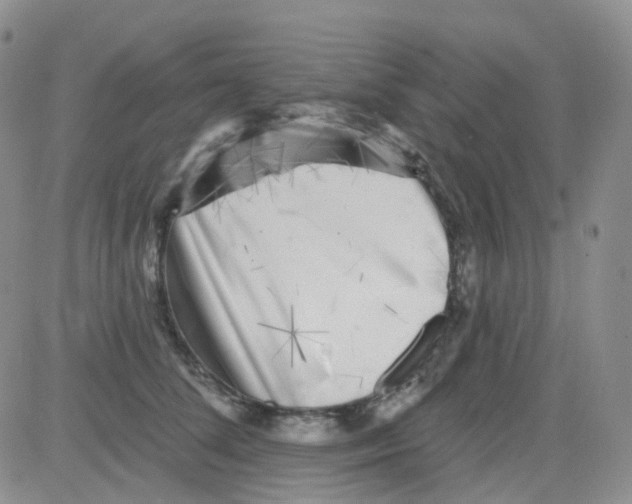 X0000082730708200702232347