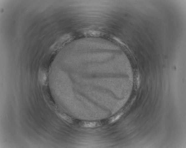 X0000082730709200702232347